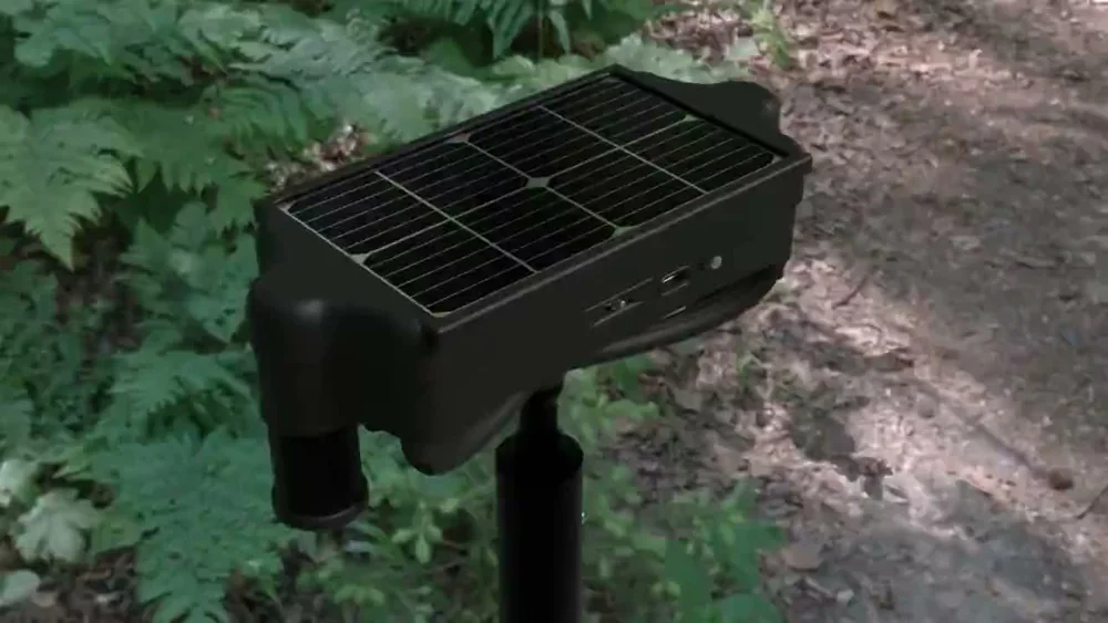 A solar-powered BuzzCam acoustic recorder deployed among ferns